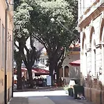 Ruza بولا