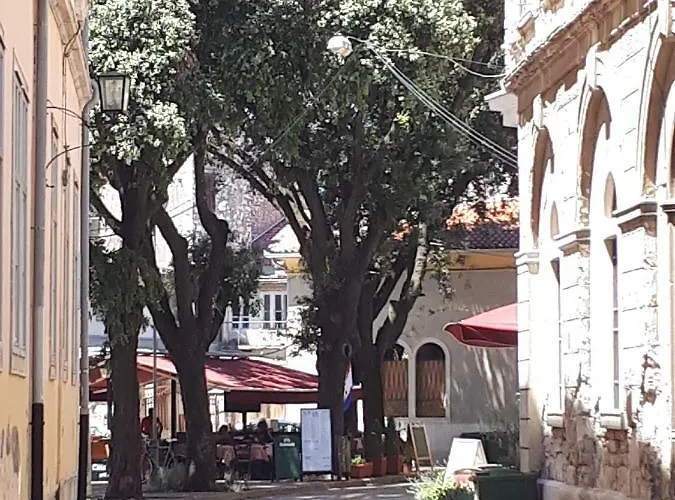 Ruza Póla